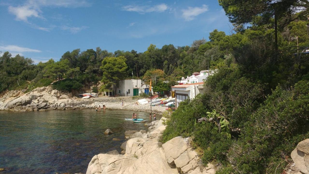 Casa Rural "Can Abres" Vilobi D'Onyar Girona Viloví de Oñar Dış mekan fotoğraf