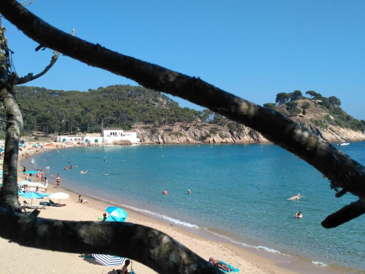 Casa Rural "Can Abres" Vilobi D'Onyar Girona Viloví de Oñar Dış mekan fotoğraf