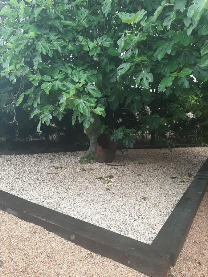 Casa Rural "Can Abres" Vilobi D'Onyar Girona Viloví de Oñar Dış mekan fotoğraf
