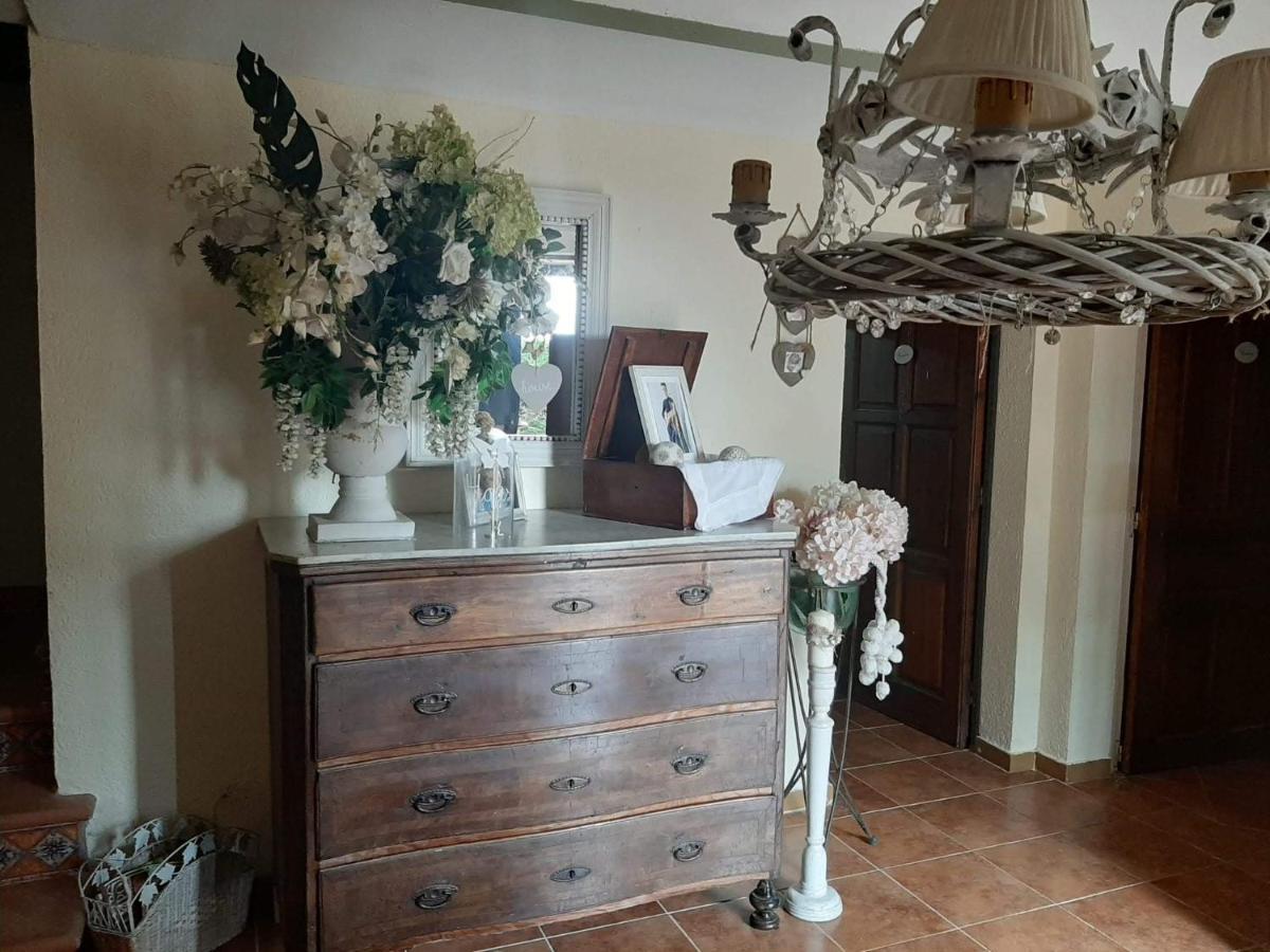 Casa Rural "Can Abres" Vilobi D'Onyar Girona Viloví de Oñar Dış mekan fotoğraf