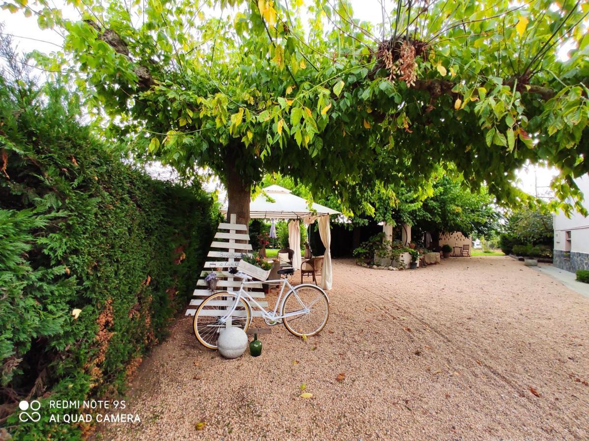 Casa Rural "Can Abres" Vilobi D'Onyar Girona Viloví de Oñar Dış mekan fotoğraf
